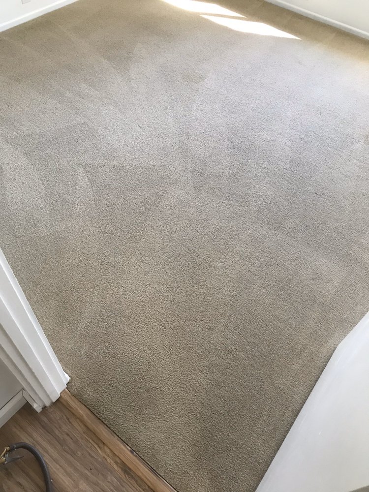 All Natural Carpet Cleaning